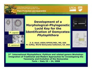 Development of a
                Morphological-Phylogenetic
                      Lucid Key for the
 P. capsici     Identification of Oomycetes:
                        Phytophthora

                    Z. G. Abad, USDA/APHIS/MDL, MD, USA
P. ramorum      M. Coffey, World Oomycetes Collection, CA, USA




 3rd International Phytophthora, Pythium and related genera Workshop:
3rd International Phytophthora, Pythium and related genera Workshop:
 Integration of Traditional and Modern Approaches for Investigating the
Integration of Traditional and Modern Approaches for Investigating the
                Taxonomy and Evolution of the Oomycetes
               Taxonomy and Evolution of the Oomycetes
                        Turin – Italy 23 – 24, 2008
                       Turin – Italy 23 – 24, 2008
 