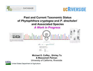 Past and Current Taxonomic Status
of Phytophthora cryptogea and P. drechsleri
           and Associated Species
             A Work in Progress




          Michael D. Coffey , Shirley Tu
              & Masoomeh Peiman
         University of California, Riverside
 