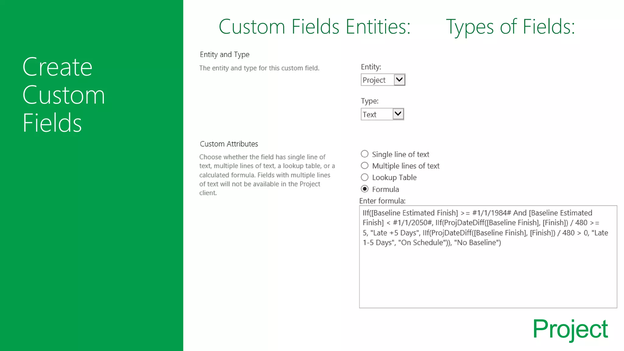 Project
Custom Fields Entities:
Projects
Resources
Tasks
Types of Fields:
Cost
Date
Duration
Flag
Number
Text