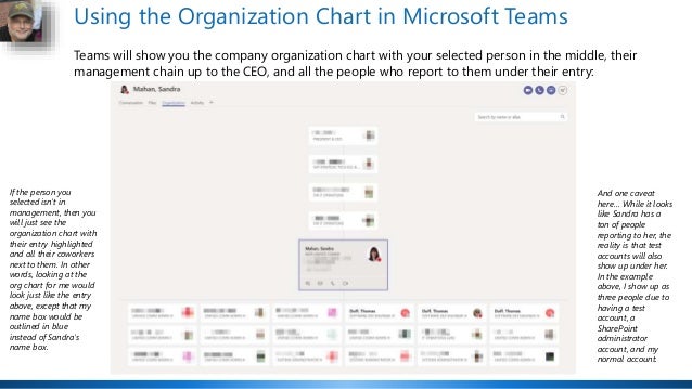 Office 365 Organization Chart