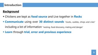 5
Introduction
Background
 Chickens are kept as food source and Live together in flocks
 Communicate using over 30 distinct sounds “clucks, cackles, chirps and cries”
including a lot of information “nesting, food discovery, mating and danger”
 Learn through trial, error and previous experience
 