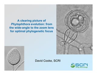 A clearing picture of
  Phytophthora evolution: from
the wide-angle to the zoom lens
 for optimal phylogenetic focus




                 David Cooke, SCRI
 