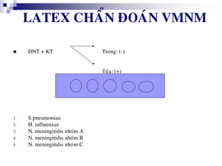 LATEX CHAÅN ÑOAÙN VMNM
 DNT + KT Trong: (-)
Tuûa: (+)
1. S.pneumoniae
2. H. influenzae
3. N. meningitidis nhoùm A
4. N. meningitidis nhoùm B
5. N. meningitidis nhoùm C
 