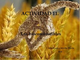 ACTIVIDAD 11.
Los biocombustibles
Aitor Bravo y Jennifer García
B1B
 