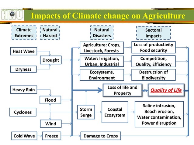 Strategies for Mitigation and Adaptation in Agriculture in context to ...