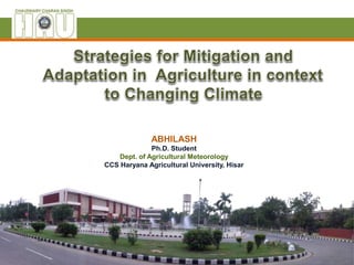 ABHILASH
Ph.D. Student
Dept. of Agricultural Meteorology
CCS Haryana Agricultural University, Hisar
 