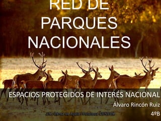 RED DE
PARQUES
NACIONALES
ESPACIOS PROTEGIDOS DE INTERÉS NACIONAL
Álvaro Rincón Ruiz
4ºB
 