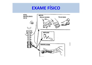EXAME FÍSICO
 