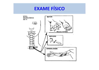 EXAME FÍSICO
 