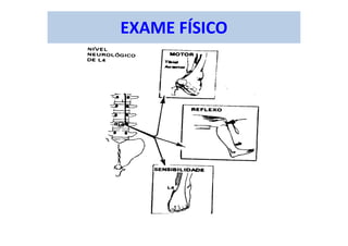EXAME FÍSICO
 