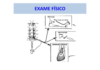 EXAME FÍSICO
 