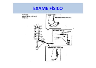 EXAME FÍSICO
 