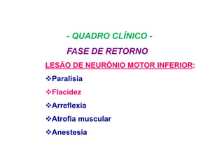 - QUADRO CLÍNICO -
FASE DE RETORNO
LESÃO DE NEURÔNIO MOTOR INFERIOR:
Paralisia
Flacidez
Arreflexia
Atrofia muscular
Anestesia
 