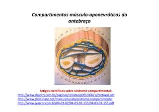 Compartimentos músculo-aponevróticos do
antebraço
Artigos científicos sobre síndrome compartimental:
http://www.sbacvrj.com.br/paginas/revistas/pdf/2006/1/Portugal.pdf
http://www.slideshare.net/marcusmurata/sndrome-compartimental
http://www.jvascbr.com.br/04-03-02/04-03-02-155/04-03-02-155.pdf
 