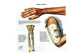 figura
Dr. José Heitor M.Fernandes
 