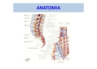 ANATOMIA
 