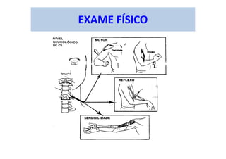 EXAME FÍSICO
 
