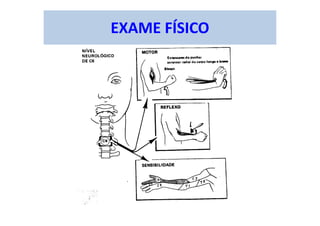 EXAME FÍSICO
 