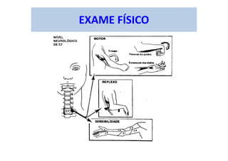 EXAME FÍSICO
 