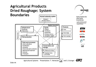 Structured Beef Roughage System Agricultural production systems | PDF