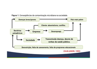 Bactérias
patogênicas
Doenças leves/graves
Empresa Desemprego
País mais pobre
Cliente: absenteísmo, conflito.
Sociedade Transmissão doença, desvio de
verbas da saúde pública.
Desnutrição, falta de saneamento, falta de programas educacionais
Figura 1. Conseqüências da contaminação microbiana na sociedade.
(SILVA JUNIOR, 1995)
 