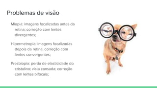 Problemas de visão
Miopia: imagens focalizadas antes da
retina; correção com lentes
divergentes;
Hipermetropia: imagens focalizadas
depois da retina; correção com
lentes convergentes;
Presbiopia: perda de elasticidade do
cristalino; vista cansada; correção
com lentes bifocais;
 