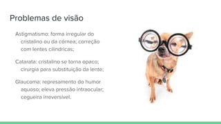 Problemas de visão
Astigmatismo: forma irregular do
cristalino ou da córnea; correção
com lentes cilíndricas;
Catarata: cristalino se torna opaco;
cirurgia para substituição da lente;
Glaucoma: represamento do humor
aquoso; eleva pressão intraocular;
cegueira irreversível.
 