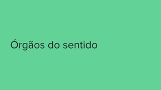 Órgãos do sentido
 