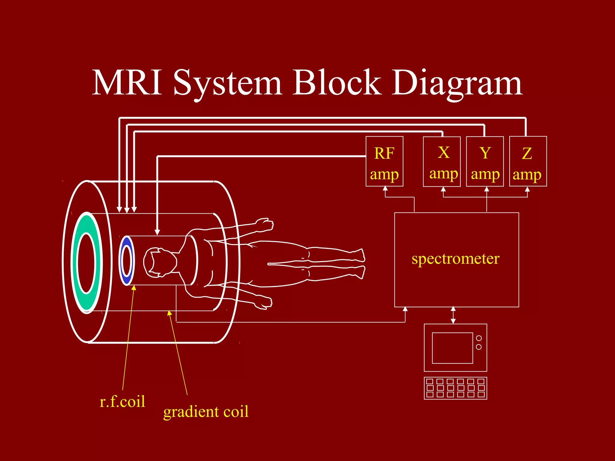 MRI System Block Diagram
RF
amp
spectrometer
r.f.coil
gradient coil
X
amp
Y
amp
Z
amp