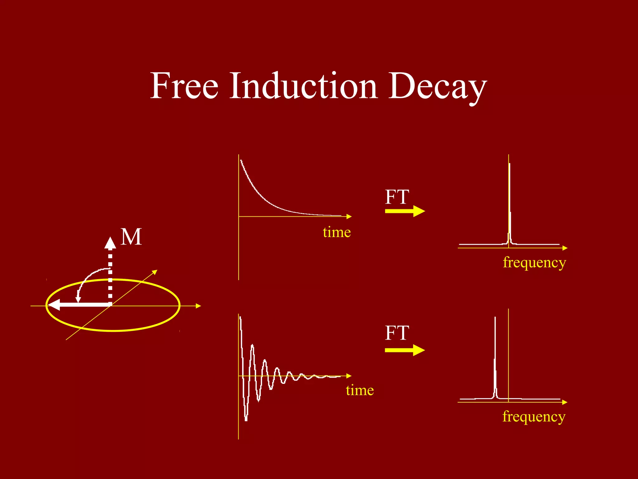 Free Induction Decay
FT
FT
frequency
frequency
time
time
M