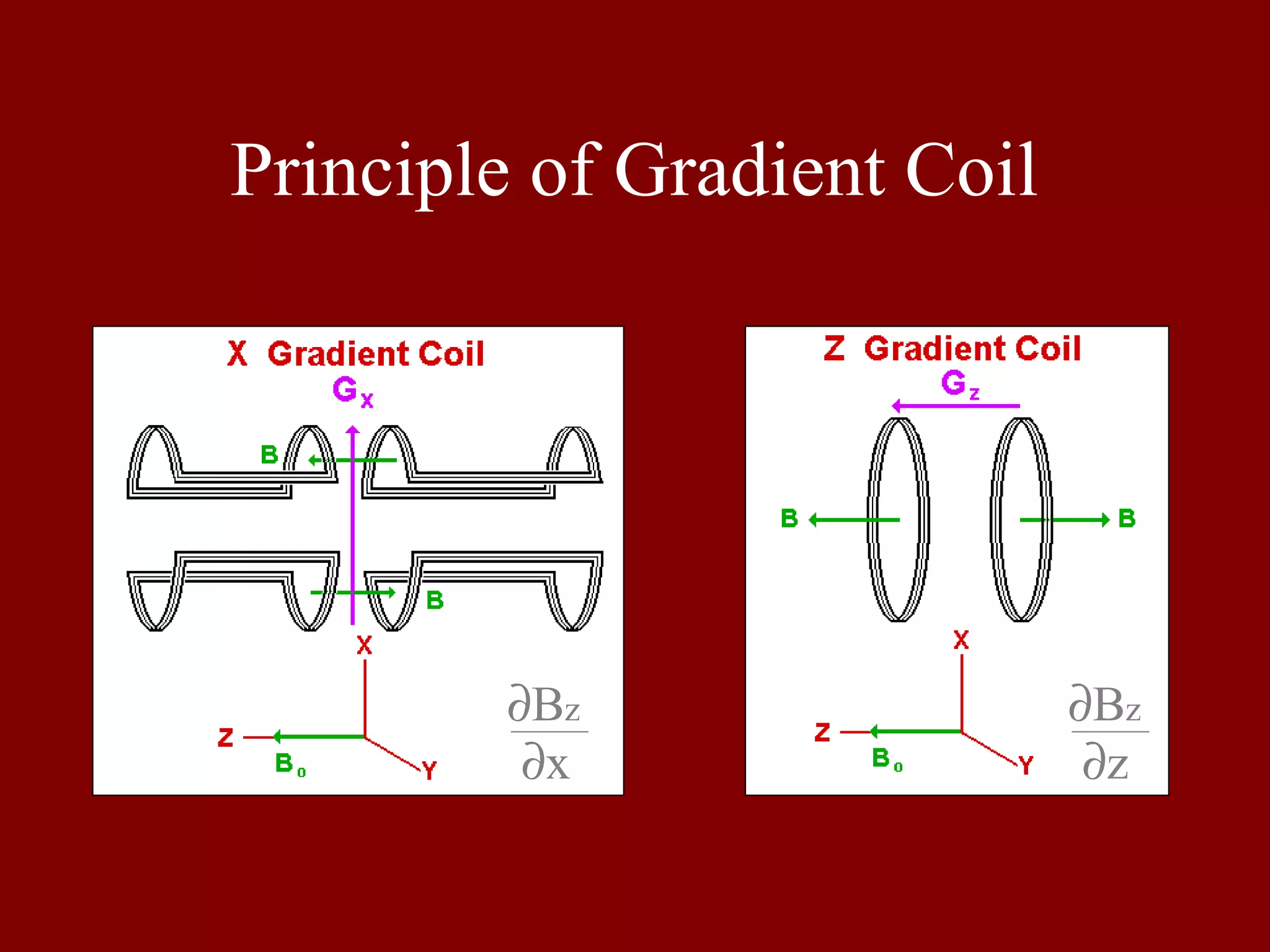Principle of Gradient Coil
∂Bz
∂x
∂Bz
∂z