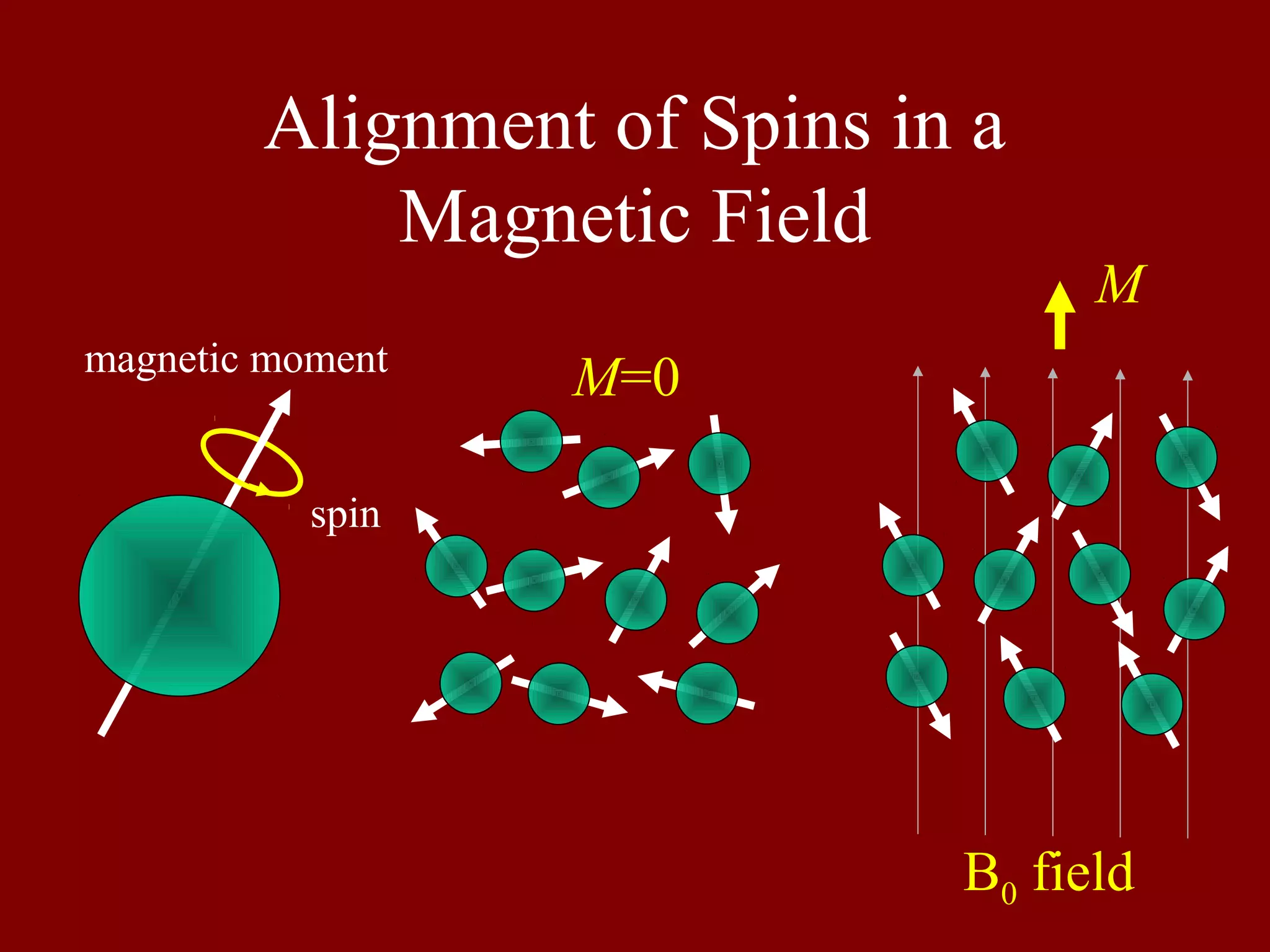 Alignment of Spins in a
Magnetic Field
spin
magnetic moment
B0 field
M
M=0