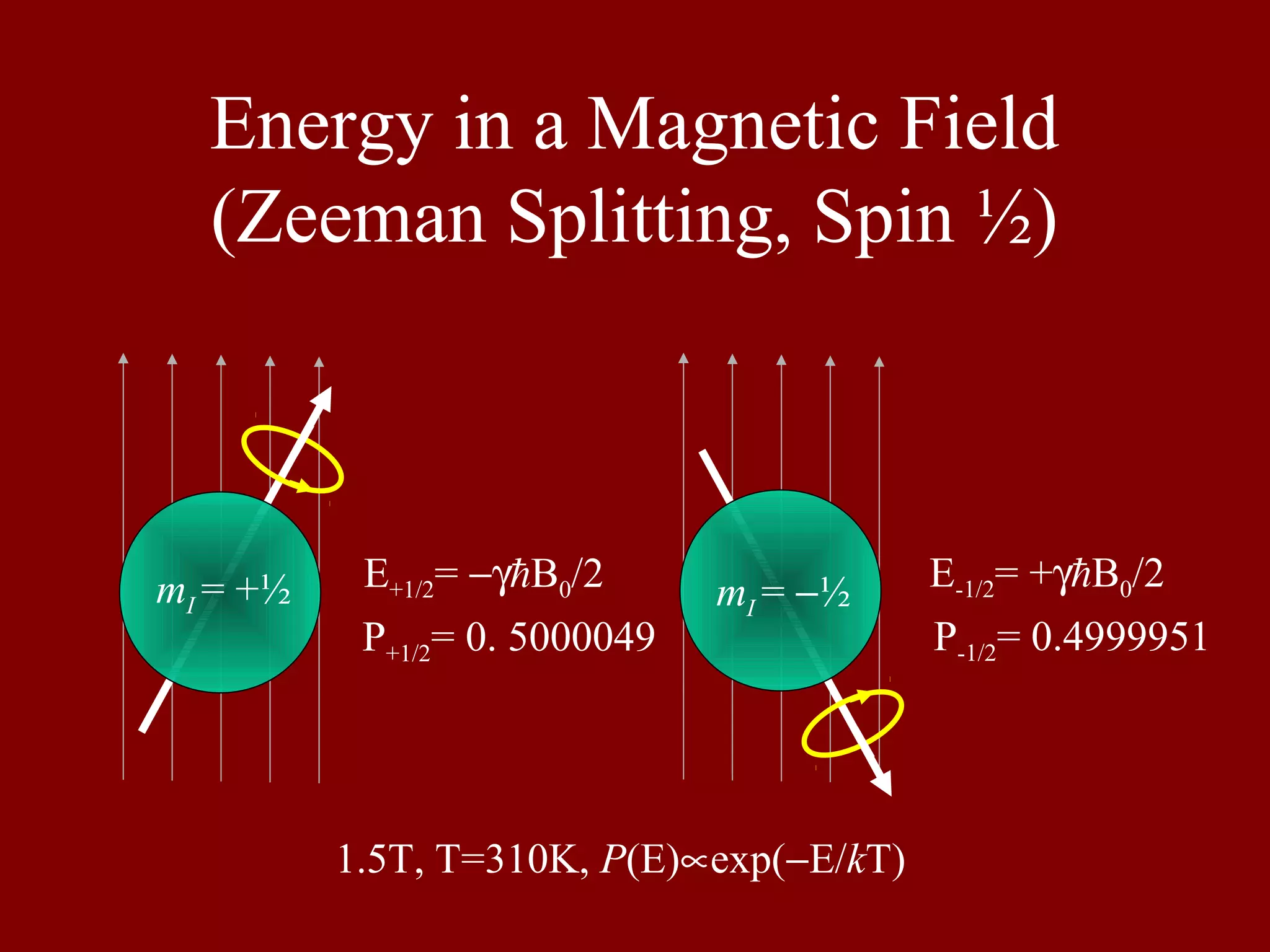 Energy in a Magnetic Field
(Zeeman Splitting, Spin ½)
E+1/2= −γB0/2 E-1/2= +γB0/2
P+1/2= 0. 5000049 P-1/2= 0.4999951
1.5T, T=310K, P(E)∝exp(−E/kT)
mI = +½ mI = −½