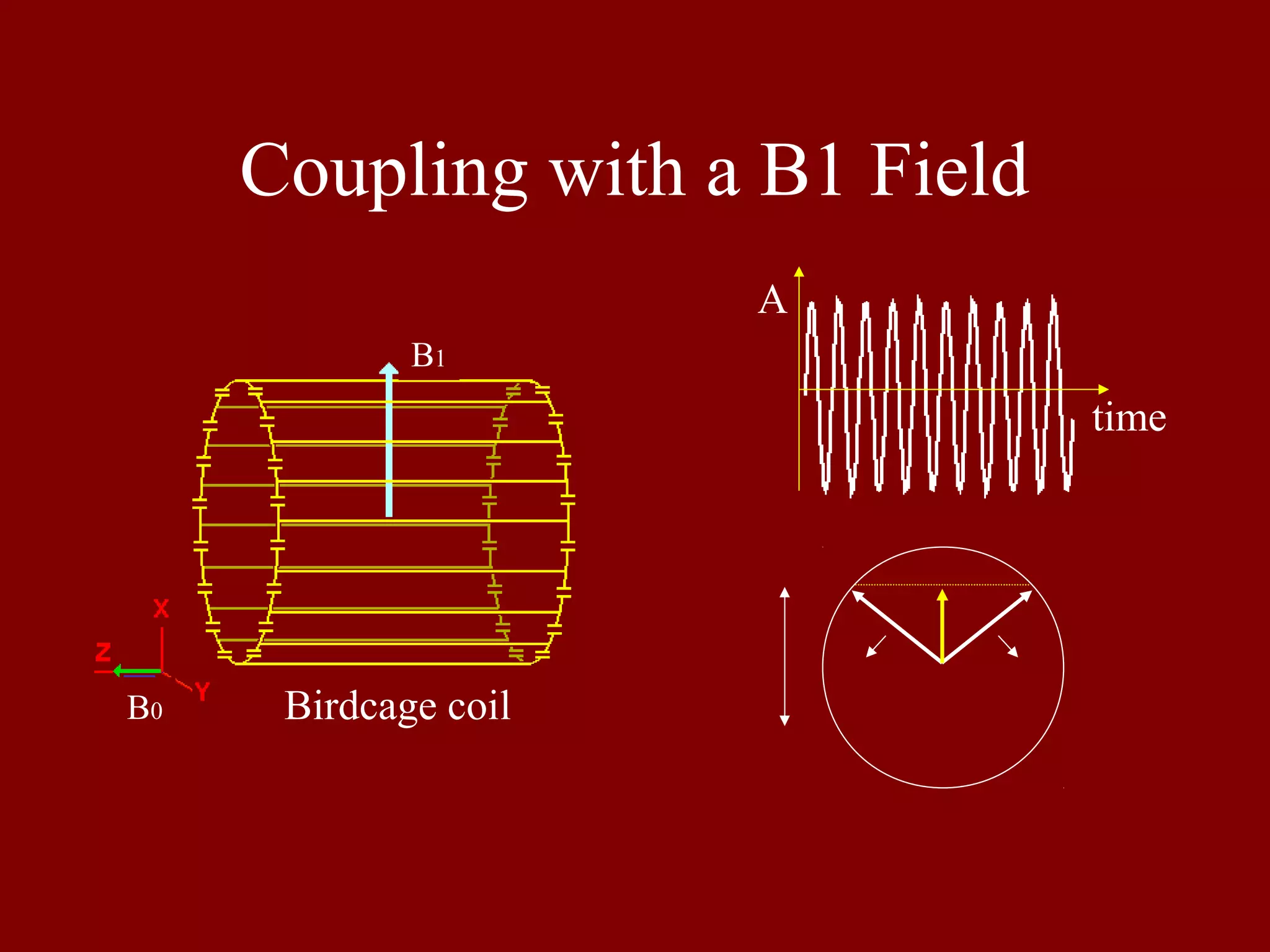 Coupling with a B1 Field
B0
B1
Birdcage coil
A
time