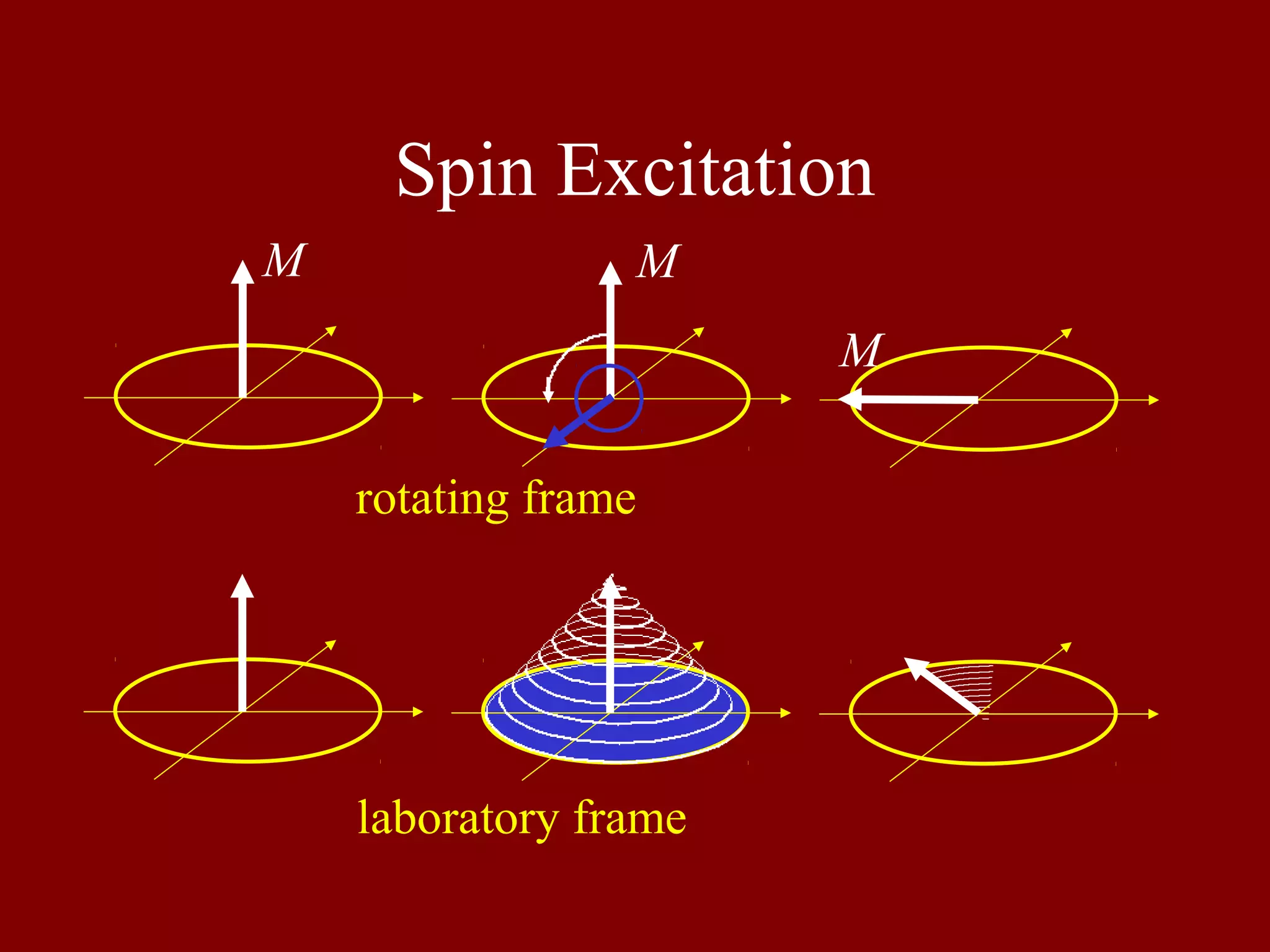 Spin Excitation
M M
M
rotating frame
laboratory frame
