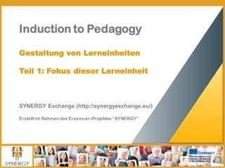 Induction to Pedagogy
Gestaltung von Lerneinheiten
Teil 1: Fokus dieser Lerneinheit
SYNERGY Exchange (http://synergyexchange.eu/)
Erstelltim Rahmen des Erasmus+-Projektes “SYNERGY”
 