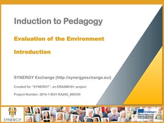 Induction to Pedagogy
Evaluation of the Environment
Introduction
SYNERGY Exchange (http://synergyexchange.eu/)
Created for “SYNERGY”, an ERASMUS+ project
Project Number: 2014-1-IE01-KA202_000355
 