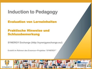 SYNERGY Induction to Pedagogy Programme - Evaluation of the Learning Resources (GERMAN)