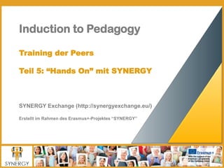 SYNERGY Induction to Pedagogy Programme - Training of Peers (GERMAN)