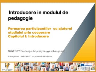  Introducere in modulul de
pedagogie
	
  
	
  
Formarea participantilor cu ajutorul
studiului prin cooperare
Capitolul I: Introducere
	
  	
  
	
  	
  
	
  
	
  
SYNERGY Exchange (http://synergyexchange.eu/)
Creat pentru “SYNERGY”, un proiect ERASMUS+
 