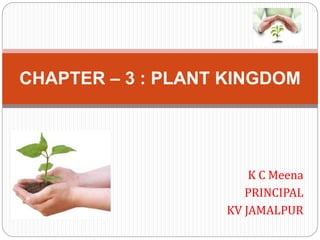 K C Meena
PRINCIPAL
KV JAMALPUR
CHAPTER – 3 : PLANT KINGDOM
 