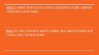 Bronquis:Elsbronquissóndostubsenqueesdivideixlatràqueadinsdelspulmonsitransporten
l’airequeentraisurtdelspulmons.
Bronquis:Enl’aparellrespiratoridelsmamífers,elsbronquissónelsconductesrespiratorisenque
esdivideixl’aireal’interiordelspulmons.
 
