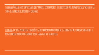 Pulmons:Òrgansmésimportantsdel’aparellrespiratoriiqueserveixenpertransportarl’oxigenala
sangialliberareldiòxiddecarboni.
Pulmons:Lasevaprincipalfuncióésladetransportaroxigendel'atmosferaaltorrentsanguini,i
peralliberardiòxiddecarbonidelasangcapal'atmosfera.
 