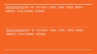 Òrgansap.respiratori:Boca-nas-fossesnasals-faringe-laringe-tràquea-bronquis-
bronquiols-alveolspulmonars-diafragma.
Òrgansap.respiratori:Boca-nas-fossesnasals-faringe-laringe-tràquea-bronquis-
bronquiols-alveolspulmonars-diafragma.
 