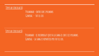 Tipusdecirculació:
Pulmonar-entrecoripulmons
General - totelcos
Tipusdecirculació:
Pulmonar-elrecorregutquefalasangelcorielspulmons.
General-lasangesreparteixpertotelcos.
 