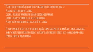 Ésunliquidvermellósquecontélessubstànciesquerecorrenelcos,+:
Plasma:Partliquidadelasang.
GlòbulsVermells:Transportenoxigenidiòxiddecarboni.
Glòbulsblancs:Defenenelcosdelesinfeccions.
Plaquetes:Intervenenenlacoagulaciódelasang.
ésunasuspensiódecèl·lulesenunmediaquós,impulsadapelcoratravésdelsvasossanguinis,
ambl'objectiudedistribuiroxigeninutrientsalsdiferentsteixitsaixícomeliminar-neels
residus,entrealtresfuncions.
 
