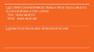 Elcor:Ésunmúscul(comunmotorbomba)ques’encarregad’impulsarirecollirlasangdetotel
cos.Elcorfadosmovimentslasístoleiladiàstole.
Sístole-volumdesangméspetit.
Diàstole-volumdesangmésgran.
Elcor:Formatperteixitmuscularcardíacinoparadebategarfinslamort.
 