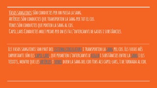 Vasossanguinis:Sónconductesperonpassalasang.
Artèries:Sónconductesquetransportenlasangpertotelcos.
Venes:Sónconductesqueportenlasangalcos.
Capil.lars:Conductesmoltprimsperonesfal’intercanvidegasosisubstàncies.
Elsvasossanguinissonpartdelsistemacirculatoriitransportenlasangpelcos.Elsvasosmés
importantssónelscapil·lars,quepermetenl'intercanvid'aiguaisubstànciesentrelasangiels
teixits,mentrequelesartèriesivenesduenlasangdelcorfinsalscapil·lars,idetornadaalcor.
 