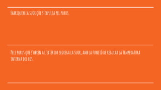 Fabriquenlasuorques’expulsapelporus.
Pelsporusques'obrenal'exteriorsegregalasuor,amblafuncióderegularlatemperatura
internadelcos.
 