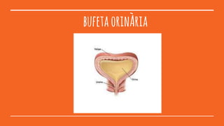 bufetaorinÀria
 